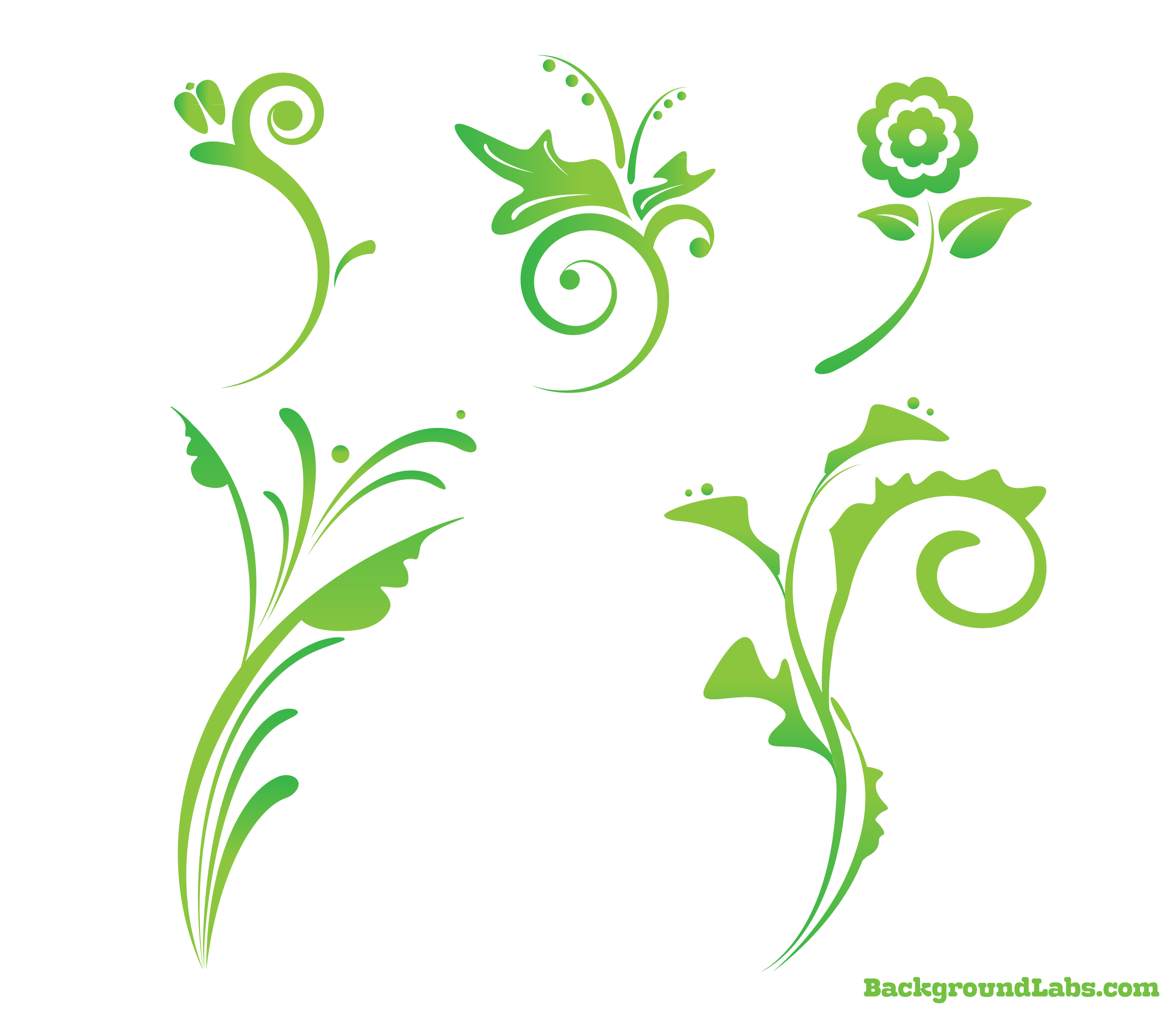 Today’s design freebie is this awesome floral vector set with 5 